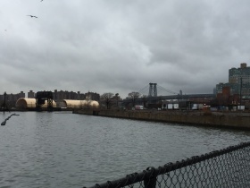 ​Brooklyn Blog!